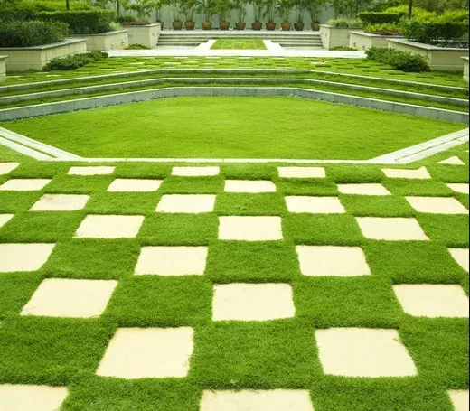 1,000 Zoysia Emerald Grass Seeds for Lawn & Landscaping – Ornamental & Hardy