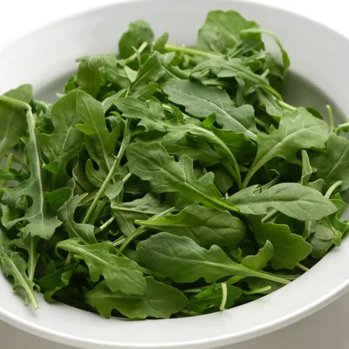 Arugula Plant