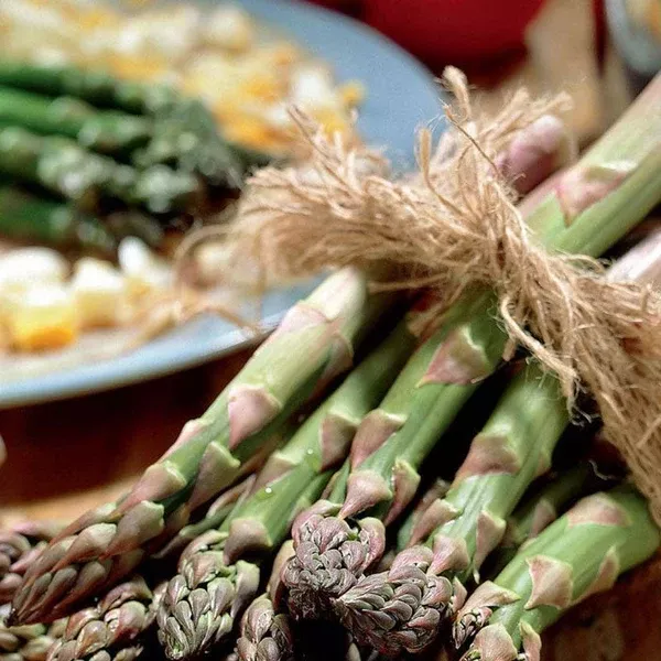 Asparagus Millenium5/PK