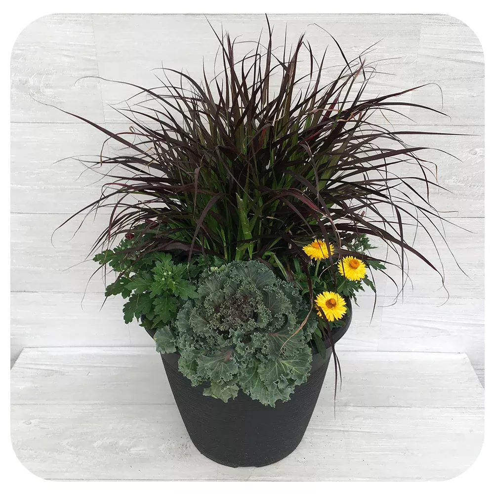 Autumn Arrangement Round 13"