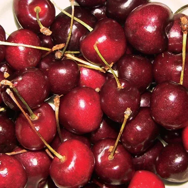 Bing Cherry