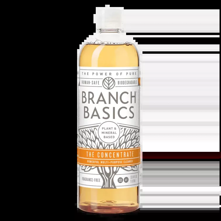 Branch Basics The Concentrate