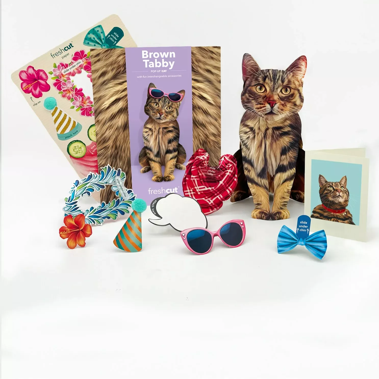 Brown Tabby Cat Pop-Up Card