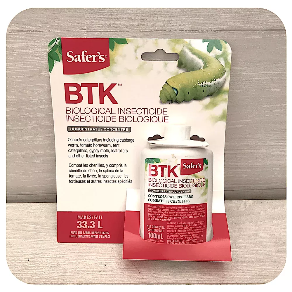 BTK