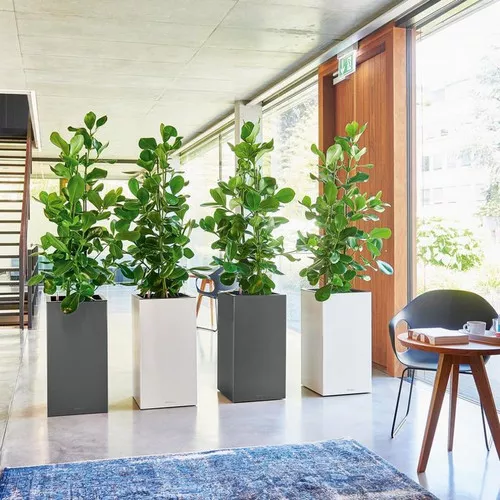 Canto Premium Tall Square Planter