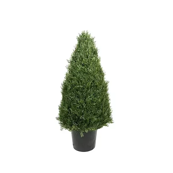 Cedar Cone Topiary 30In Everlasting