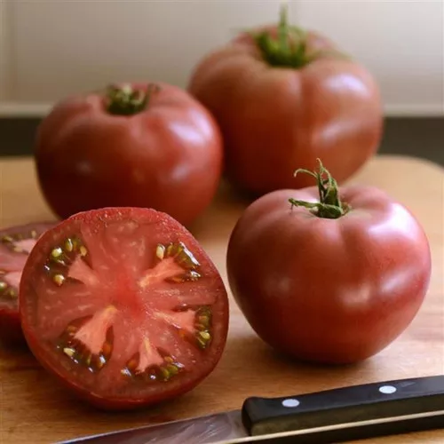 Cherokee Carbon Tomato Plant