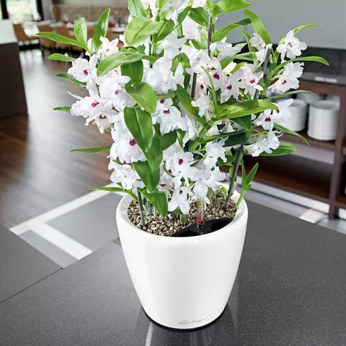 Classico LS Round Planter