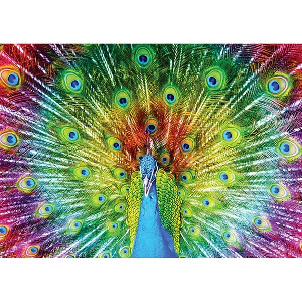 Colorful Peacock 1000pc Puzzle