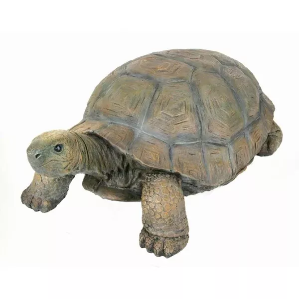Concrete Tortoise