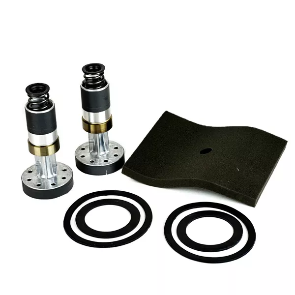 EasyPro ML80 Compressor Repair Kit
