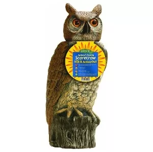 Gardeneer Solar Scarecrow Owl Decoy
