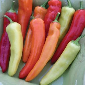 Hungarian Hot Wax Pepper