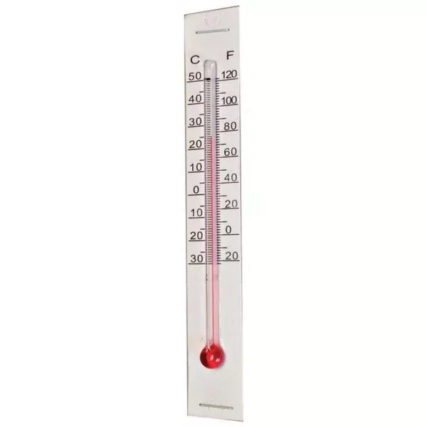 Incubator Thermometer