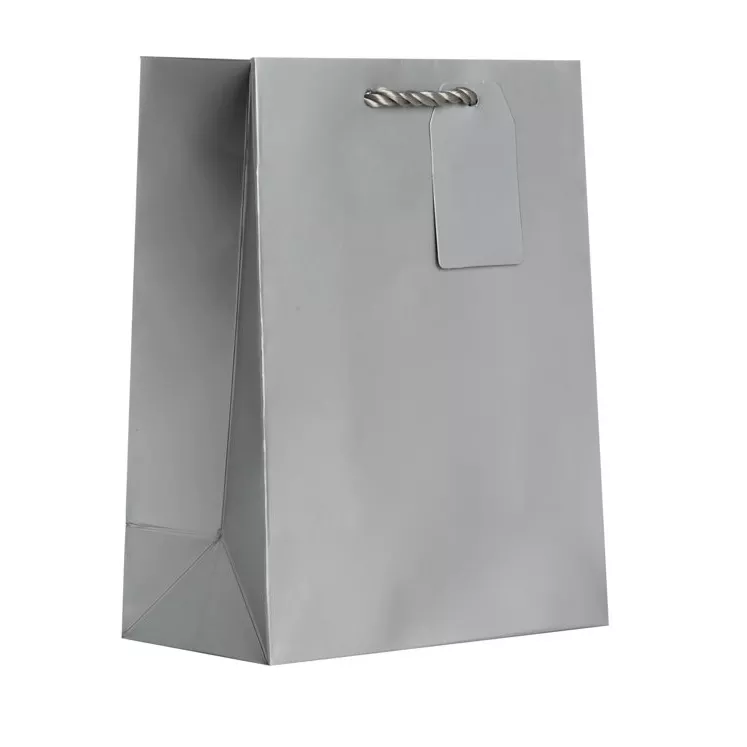 Jillson Roberts Medium Gift Bag – Matte Silver