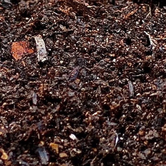 Nature’s Way Leaf Mold Compost 40 lbs