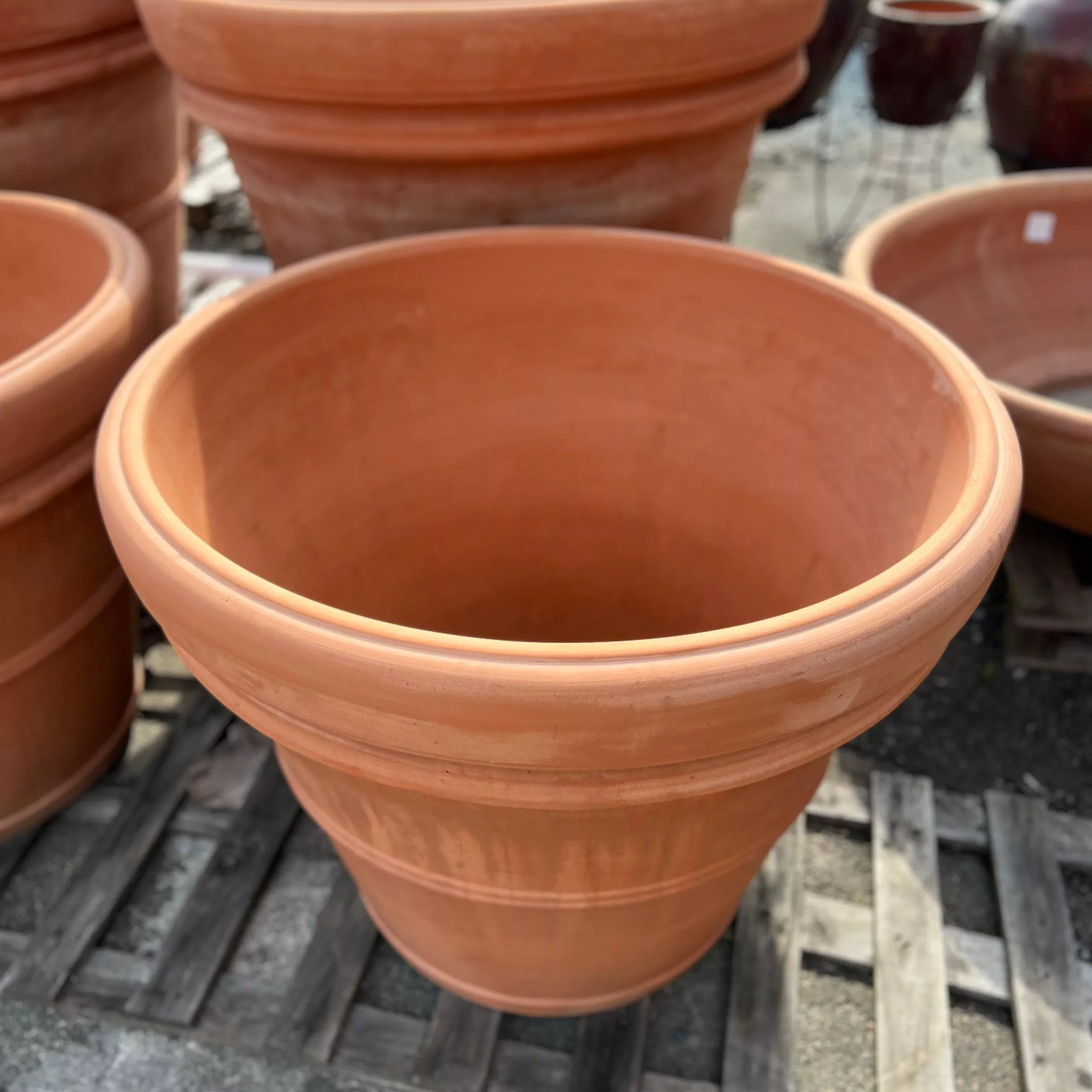 Nina Vi Piston Pot