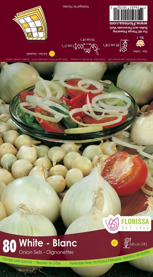 Onion Sets Snowball - White (Pkgd) Bulb
