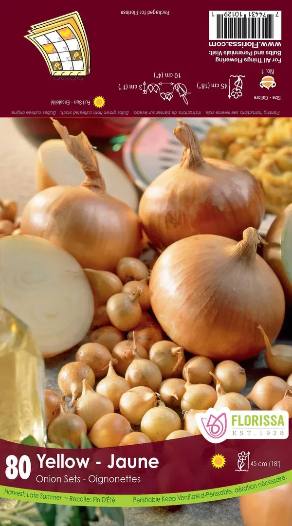 Onion Sets Stuttgart - Yellow (Pkgd) Bulb