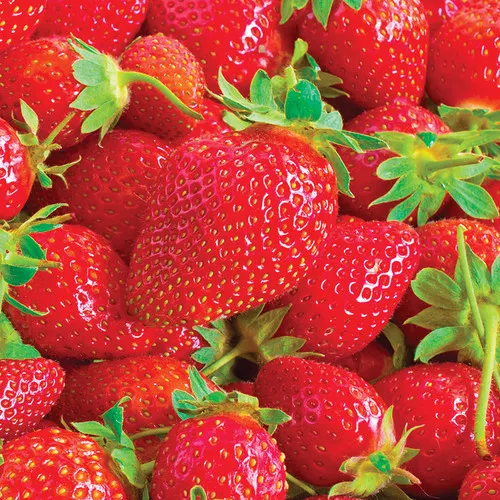 Ozark Beauty Strawberry