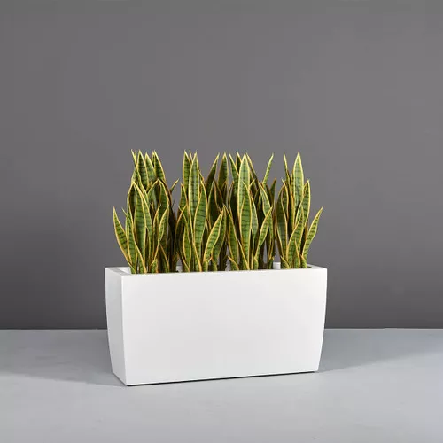 Panama Rectangular Tapered Planters
