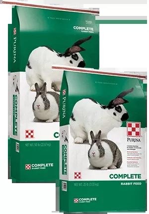 Purina Complete Rabbit Feed