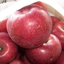 Red Rome Apple