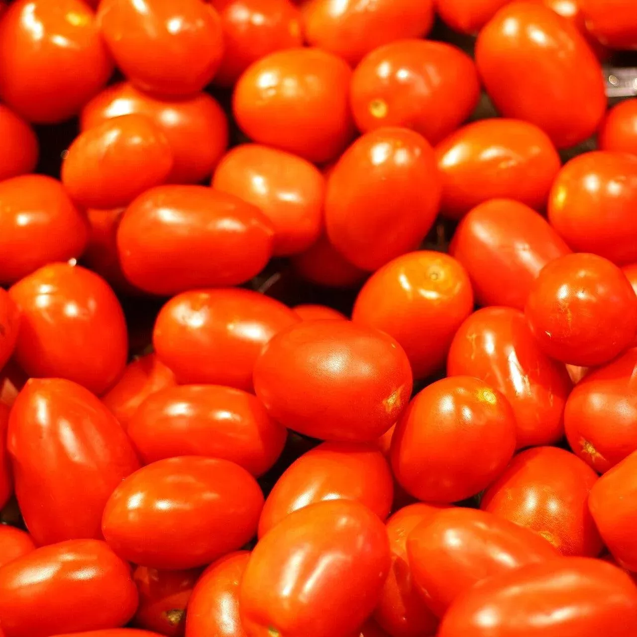 Roma Tomato