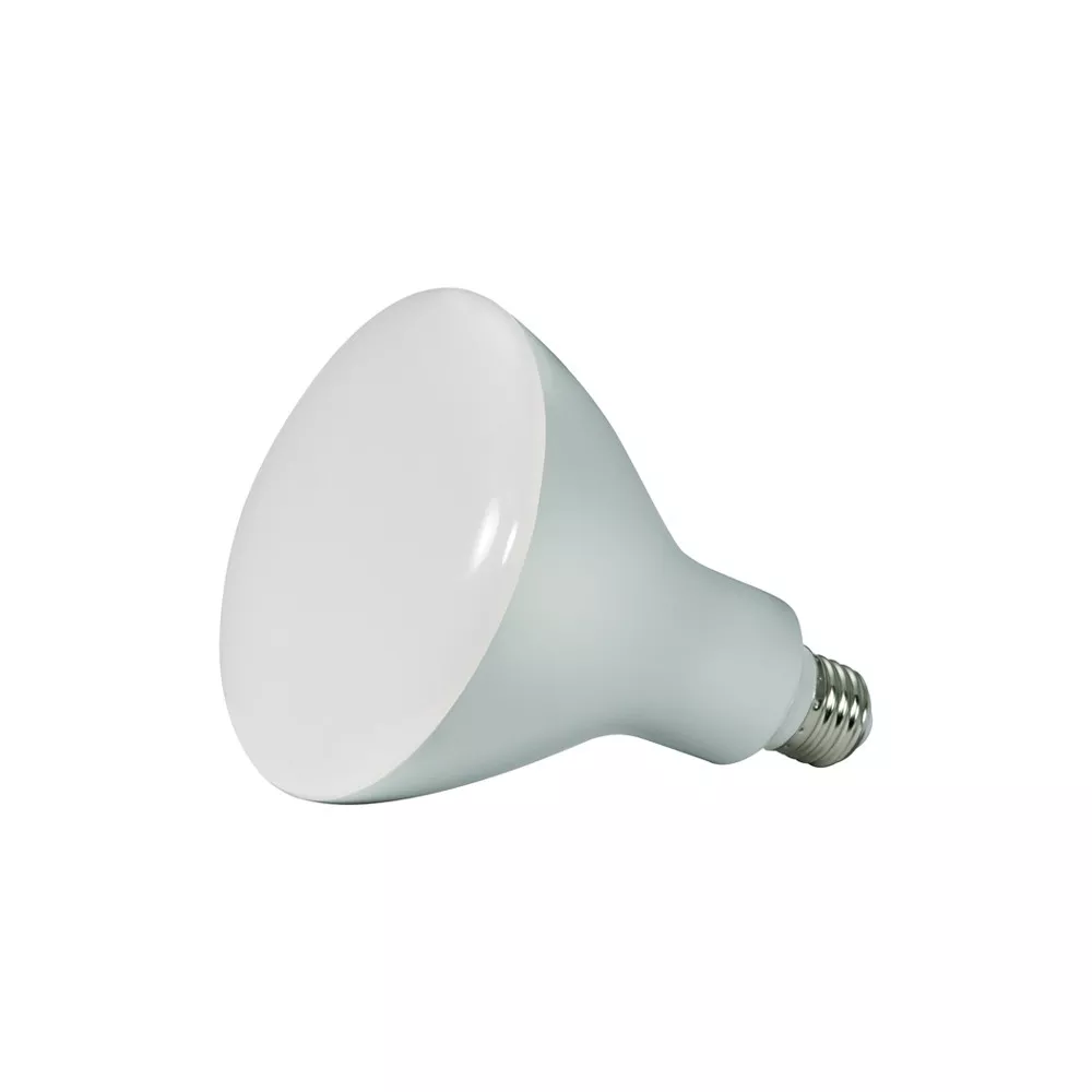 Satco Daylight LED 11.5 Watt Floodlight 1-pack