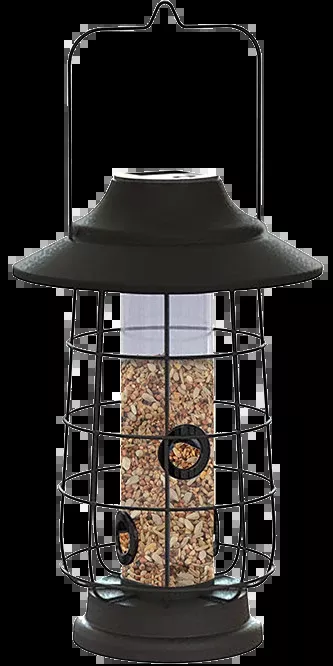 Solar Lantern Tube Feeder, 1lb capacity