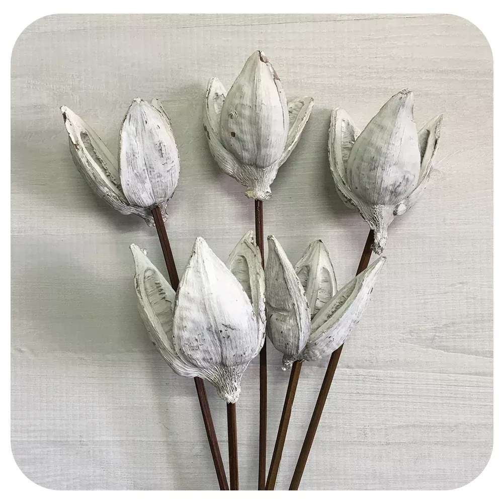 Soroco Flower