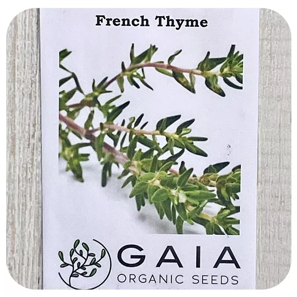 Thyme French Seeds (Organic)