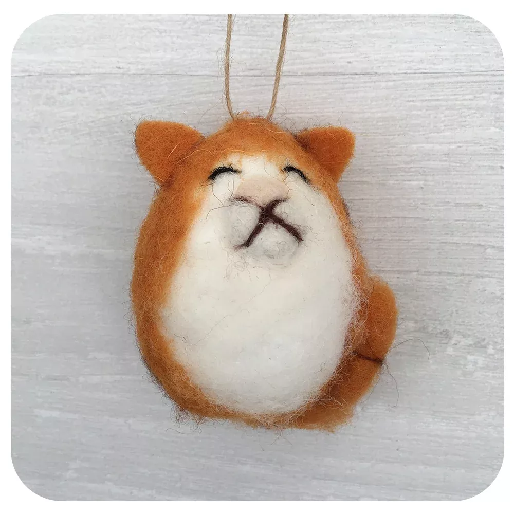 Wooly Cat